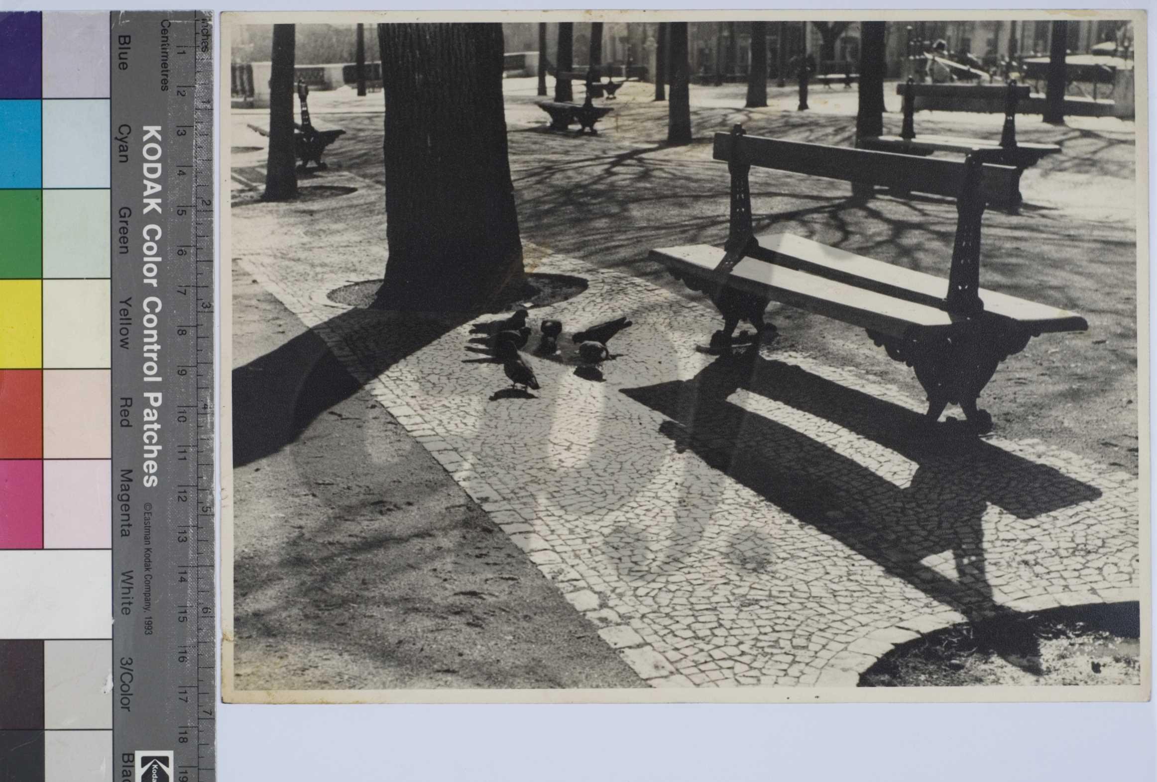 Centro Português de Fotografia, “Sol d’inverno” (1944)