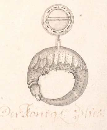 The drawing of the Dragon Order's badge from the Csáky family archive. The original badge was found in the tomb of Sigismund; unfortunately over the course of time, it was lost. (MNL OL P 72, 103 fasc, 647–648. fol 5.)